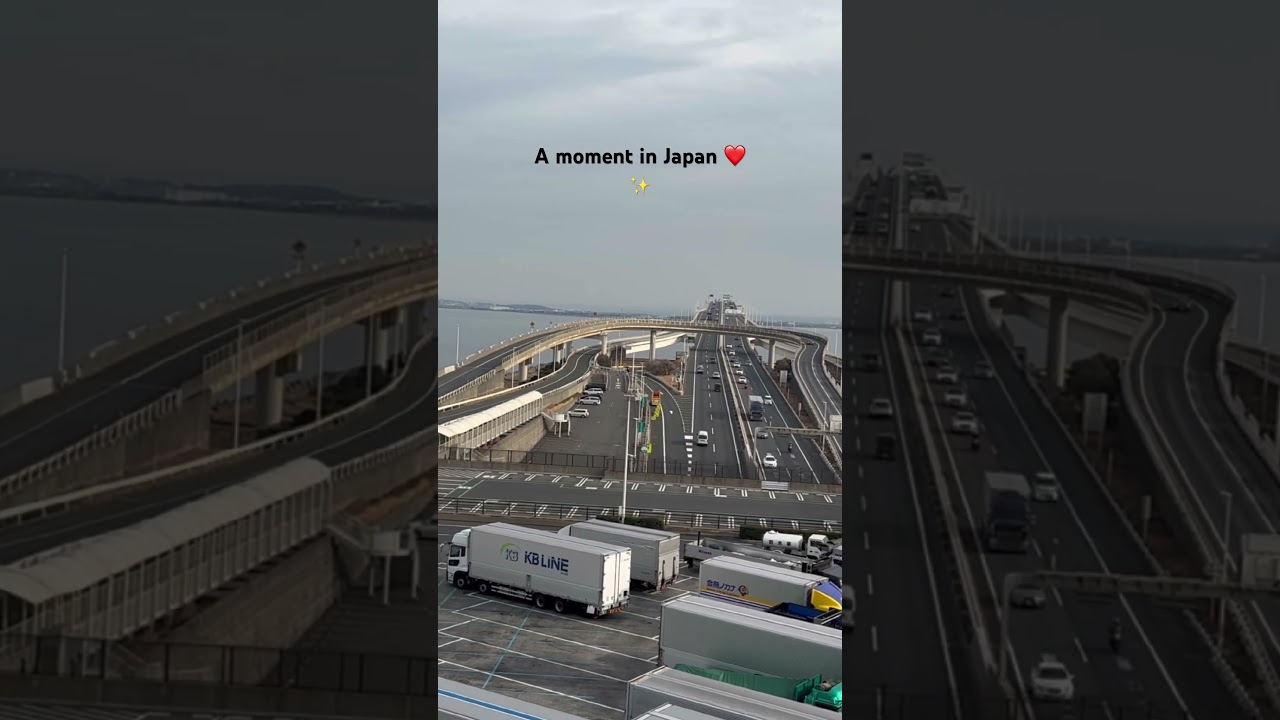 A moment in Japan ❤️✨ #like #share #travel #fyp