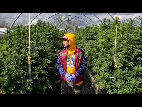 Trap House - Stay Winning C-Roc x Thai VG x Gookstaz (Official Vietnamese Rap Video)