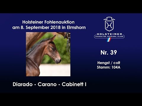 Holsteiner Fohlenauktion | Nr. 39 v. Diarado - Carano