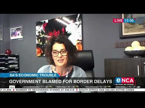SA's economic trouble The government blamed for border delays