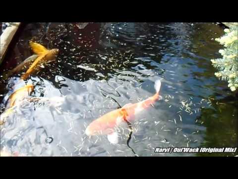 [Jungle Terror] Narvi - Oui'Wack [Original Mix]