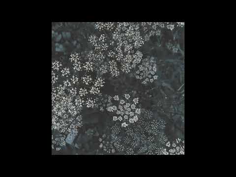 Indefinite Pitch premieres. Eafhm - Distant Tierra (Adhémar Interpretation) [Lett Records]