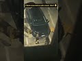 Incredible These Dogs Ended Up Damaging A Car