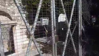 Daphni monastery, Athens, Greece