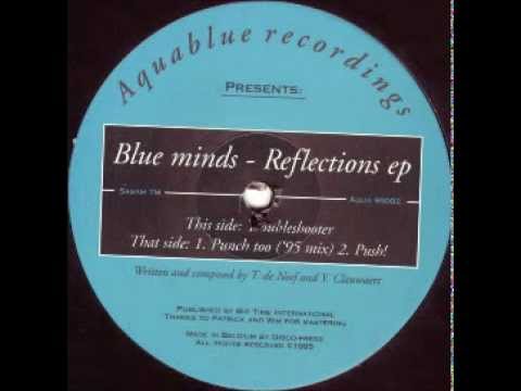 Blue Minds - Troubleshooter