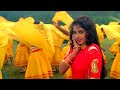 Payaliya Ho Ho Ho Love Song Deewana 1992 Divya Bharti Kumar Sanu Alka Yagnik