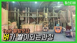 벼가 어떻게 쌀이 되는지 정미소에 다녀왔습니다.
