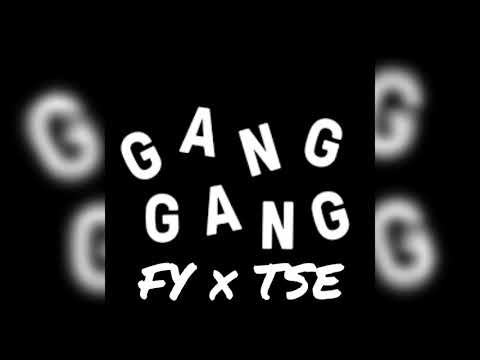 FY ft TSE - GANG (UNOFFICIAL MUSIC)