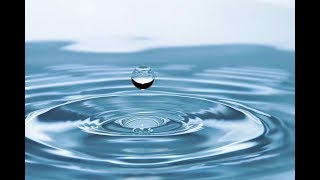 Бросать в воду как приманку для цветов