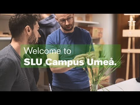 Welcome to SLU Campus Umeå