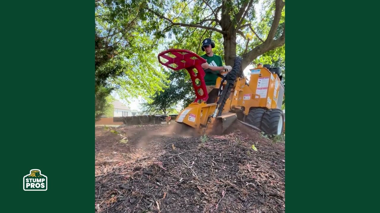 Stump Removal in Parkville, MO