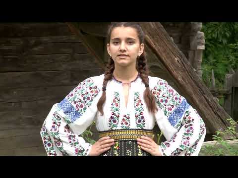 Amalia Izabela Brinzan  -  Asta-i sarba haulita