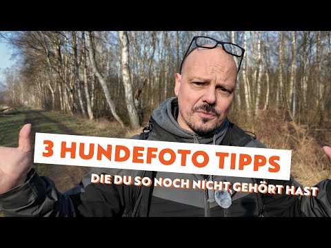 3 Tips for Dog Photography You May Not Have Heard Before