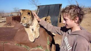 preview picture of video 'Lewis at Lion & Rhino Park, Johannesburg'