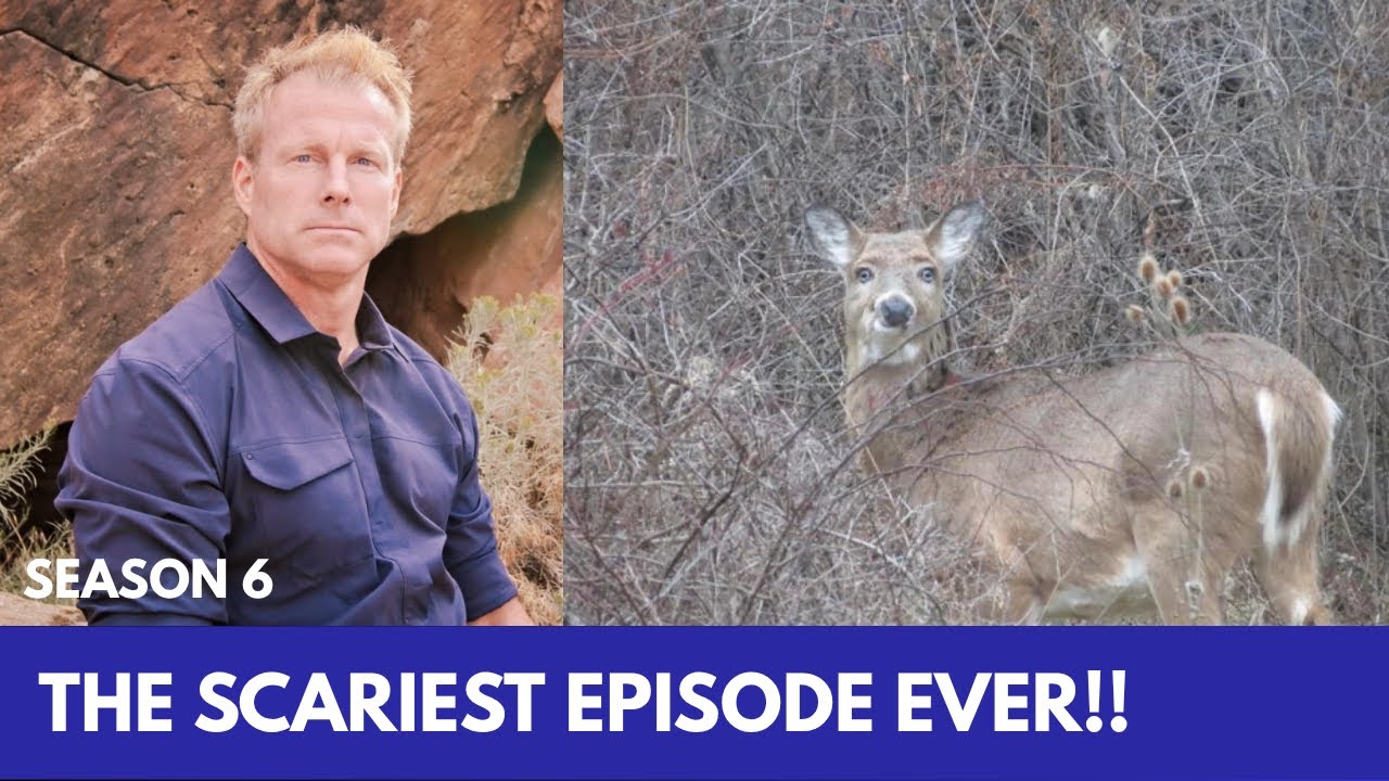 YouTube Thumbnail Downloader FULL HQ IMAGE