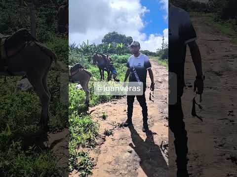 Momentos da cavalgada em nova Fátima- ipueiras -ce