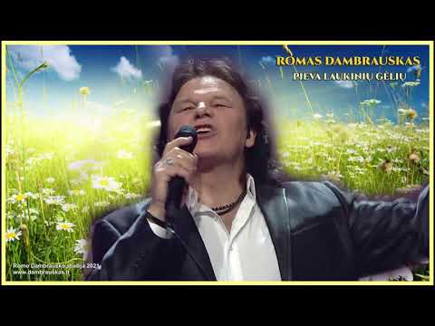 Romas Dambrauskas _ Pieva laukinių gėlių