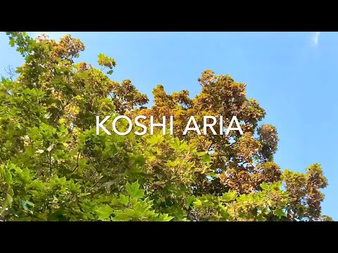 KOSHI CHIMES | Koshi Aria Tuned Wind Chimes | Koshi Bells Meditation Music (2020)