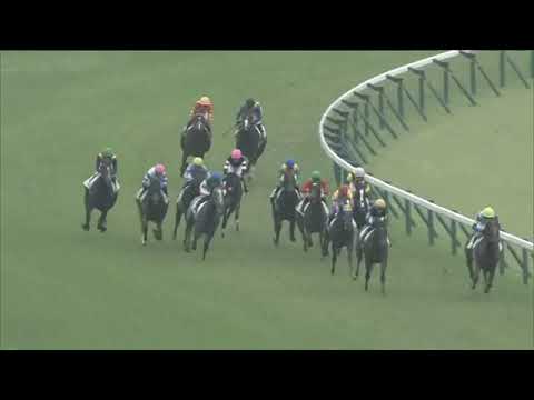 2021.06.06 2yo Newcomer (JPN) - Cradle