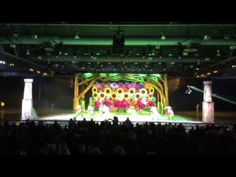 Golden Crown NYB - 2018 Judged Show - “Out Of The Web” - 1st Place