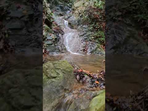 continuamos construcción de charcos naturales Buriticá-Antioquia