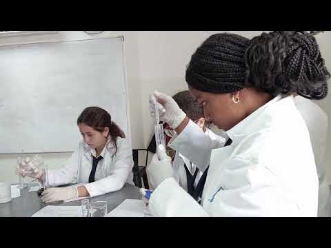MYP Year 9 Chemistry