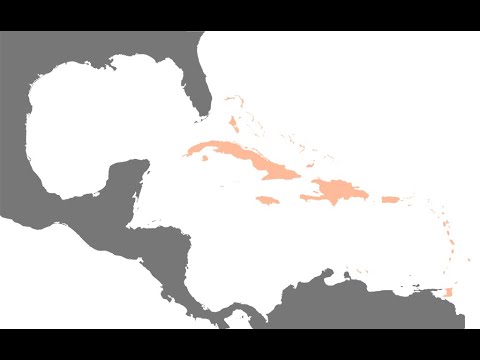 Karibian lämmössä jossitellaan - Kevätkauden 2024 päätös