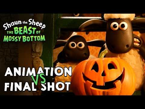 Animation vs Final Shot