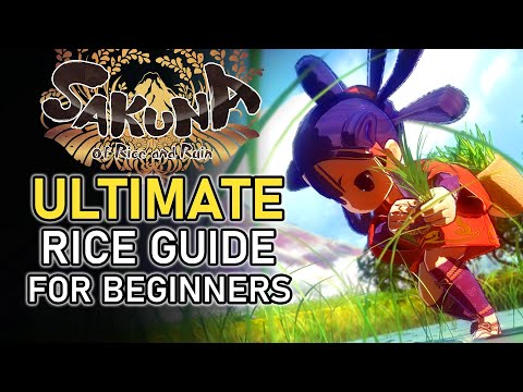 , title : 'ULTIMATE Rice Farming Guide for Beginners (+ Timestamps) | SAKUNA OF RICE AND RUIN'