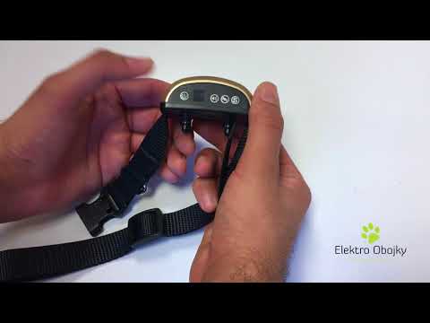 download lagu mp3 mp4 Patpet 258s, download lagu Patpet 258s gratis, unduh video klip Patpet 258s