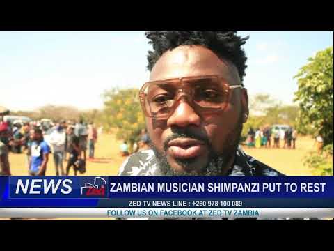 SHIMPANZI death report