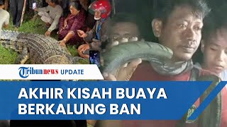 Download lagu Akhir Penderitaan Buaya Berkalung Ban Berkat Tili, Gagal Ditaklukkan Panji Petualang & Matt Wright mp3 Download lagu Akhir Penderitaan Buaya Berkalung Ban Berkat Tili, Gagal Ditaklukkan Panji Petualang & Matt Wright mp3