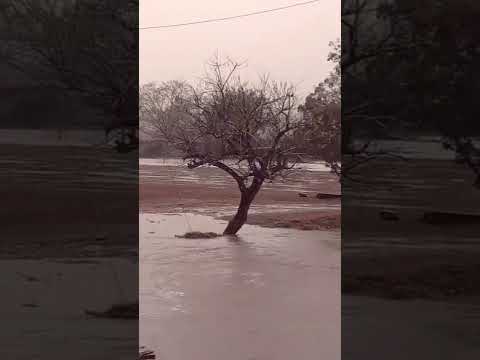 Fuertes lluvias en Olegario Victor Andrade! #lluvias #arroyo #temporal #andrade #misionesargentina