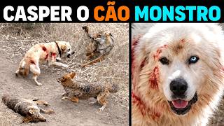 🚨 CASPER - O cachorro MONSTRO que ENFRENTOU 11 COIOTES sozinho