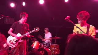 Hippocampus 2017: Western Kids