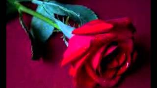 Todo Me Gusta De Ti Los Caminantes