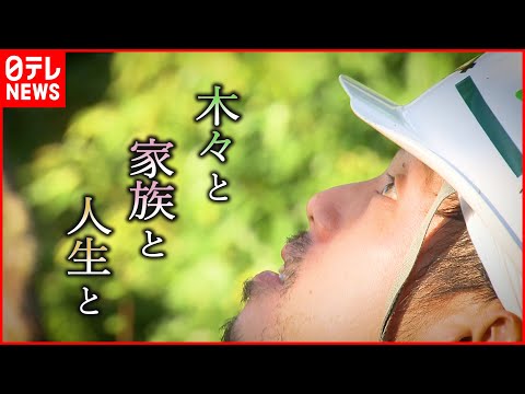 aménagement jardin paysager -autour-piscine-jeunes-arbres-plantes-vivaces