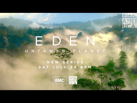 Video trailer för ‘Eden: Untamed Planet’ Trailer: Life as Nature Intended It 🌱 Premieres July 24 on BBC America & AMC