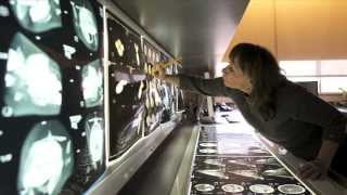 Marine Mammals Meet Modern Medicine