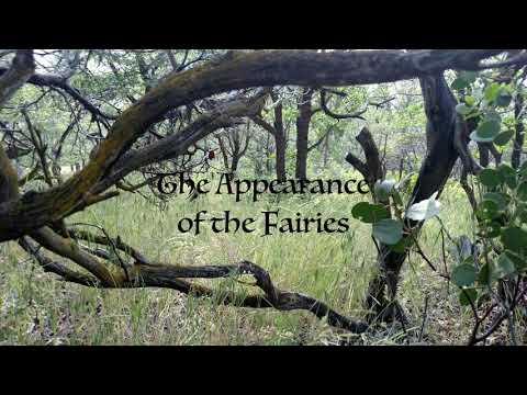 The Appearance of Fairies