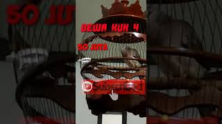 Download lagu DERKUKU KUK 4 SUPER LANGKA mp3 Download lagu DERKUKU KUK 4 SUPER LANGKA mp3