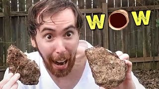 Asmongold Goes Outside