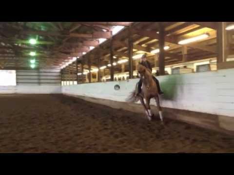 The DuoStar Difference