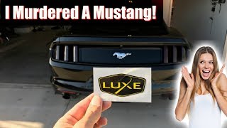Luxe Auto Concepts 15+ Mustang Tail Light And Headlight Tint Kit Install (Dark Smoke) ✔️