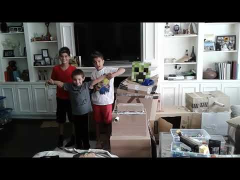 Cardboard box fort destruction ⛥