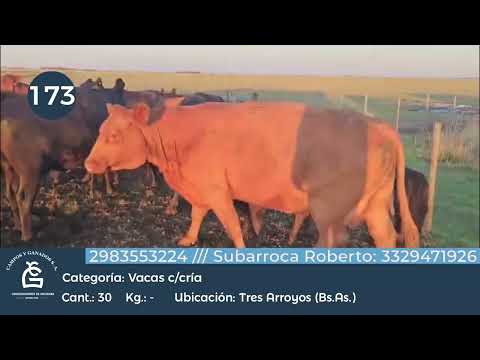 Lote VC CC - Tres Arroyos Bs As