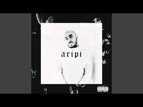 Aripi
