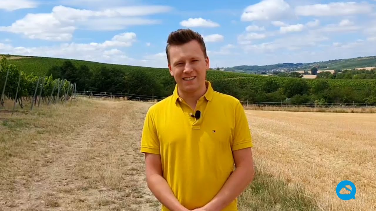 youtube video id=bXRRyELBajs