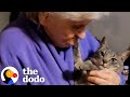 Grandma Is Hiding Her True Feelings About Her Cat The Dodo