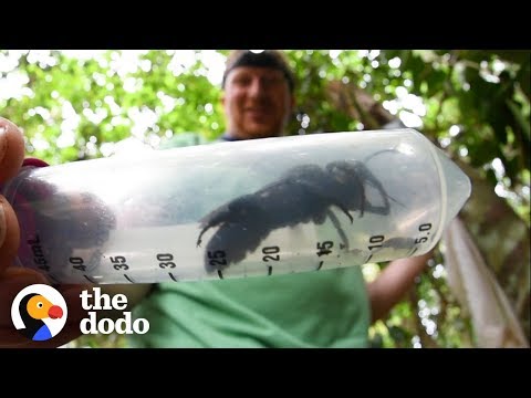 download lagu mp3 mp4 Bee Seen, download lagu Bee Seen gratis, unduh video klip Download Bee Seen Mp3 dan Mp4 Unlimited Gratis